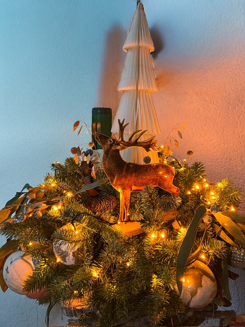 This image for Image Layouts addon